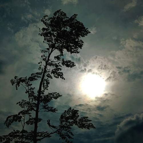 Photo #11097575