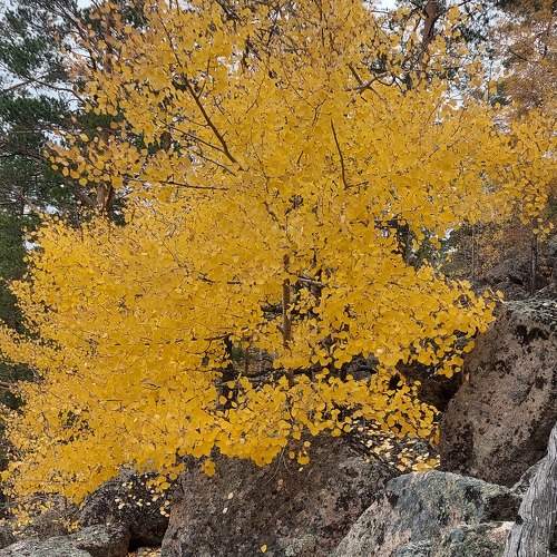 Photo #11097751