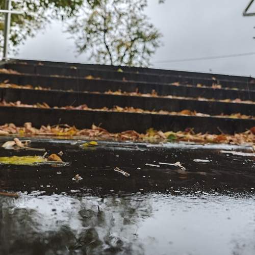 Photo #11097949