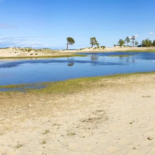 Photo #11098420