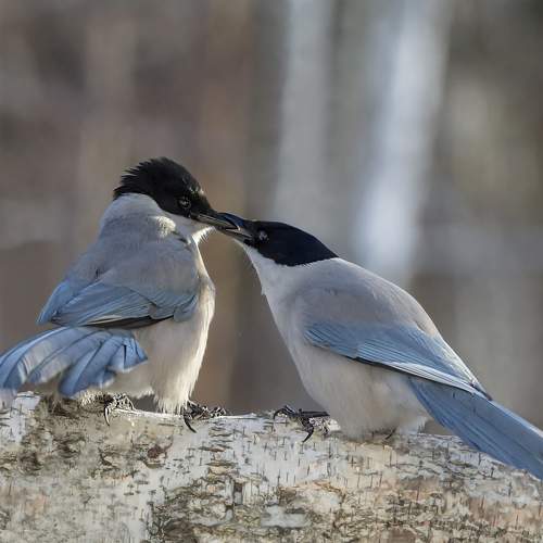 Фотография #11098602