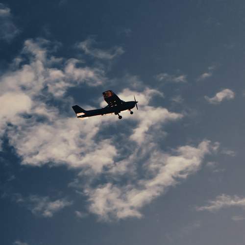 Photo #11098751