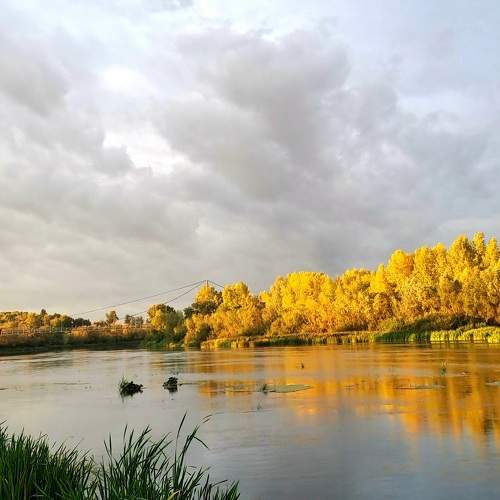 Photo #11098792