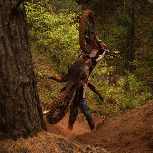 Photo #11098848