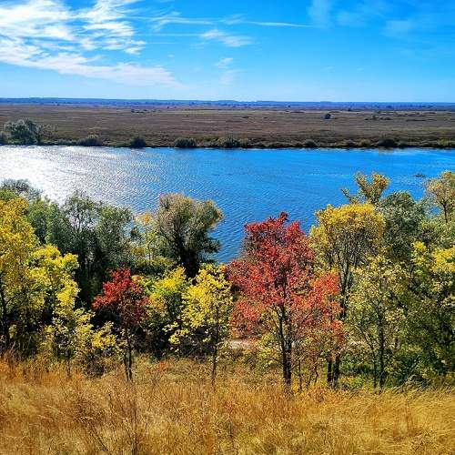 Осенняя палитра