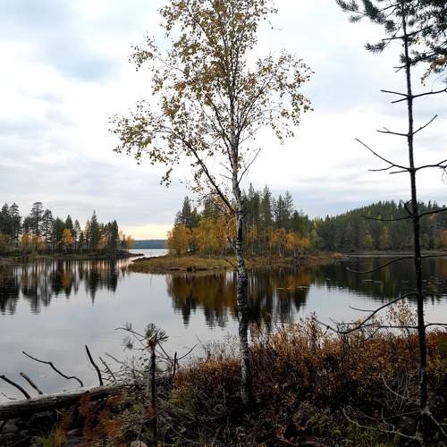Карельский пейзаж