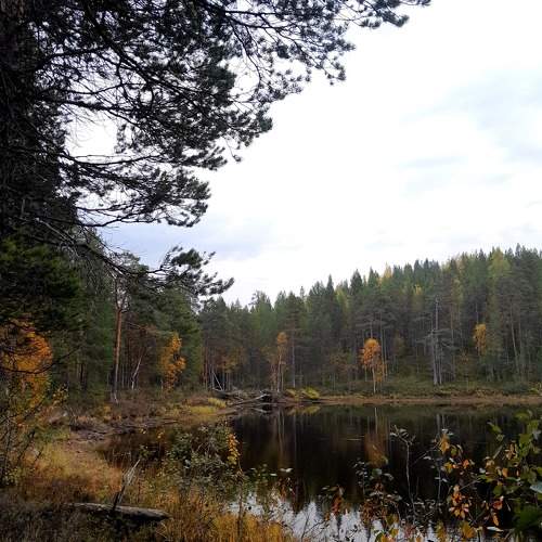 Photo #11098978