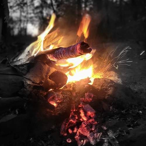 Photo #11099105