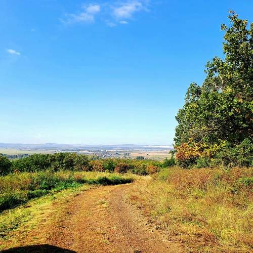 Photo #11099260