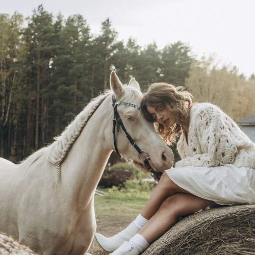 Photo #11099346