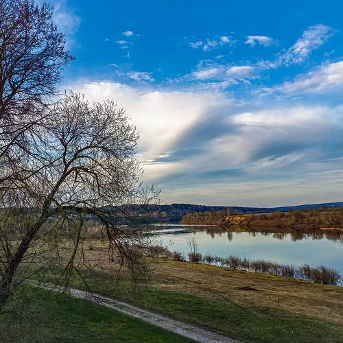 Photo #11099386
