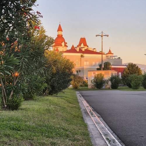 Photo #11099594