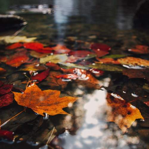 Photo #11099762