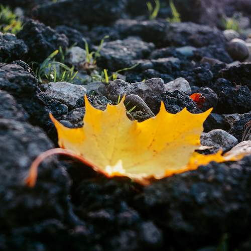 Photo #11099776