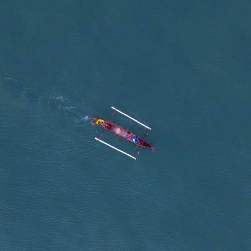 Photo #11099865