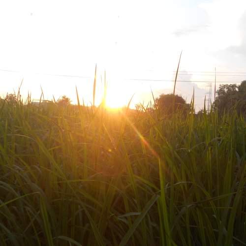 Twilight