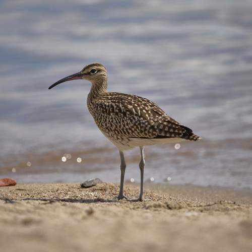 Фотография #11100078