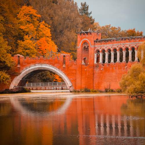 Photo #11100115