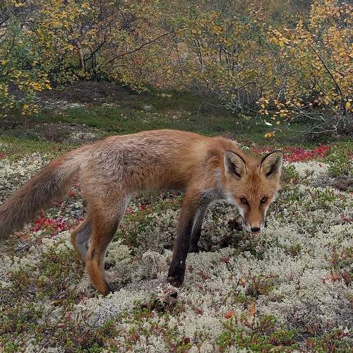 Photo #11100158