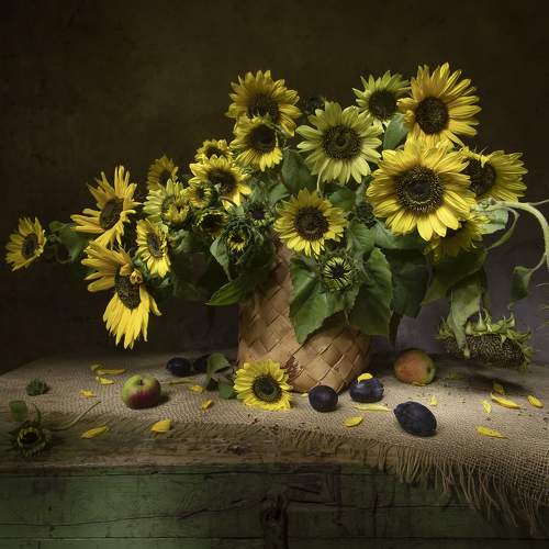 Photo #11100874