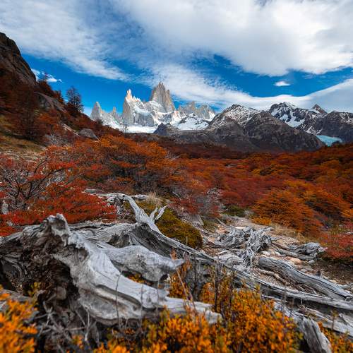 Photo #11101056