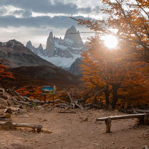 Photo #11101060