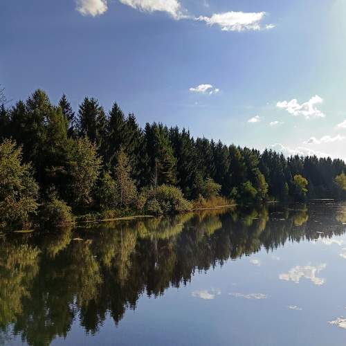 Photo #11101242
