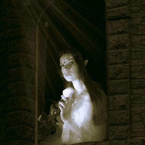 Photo #11101292