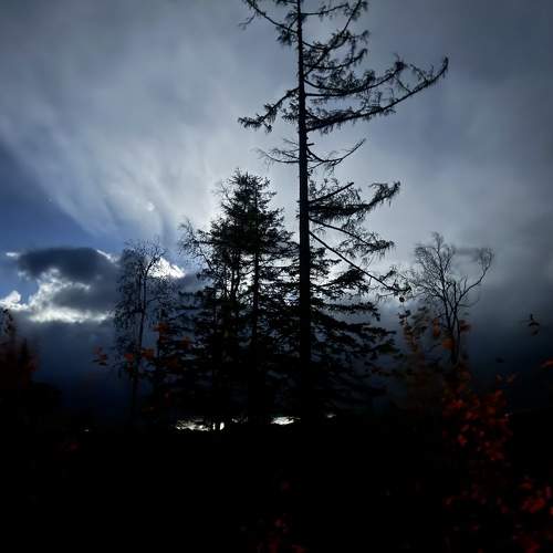 Photo #11101383