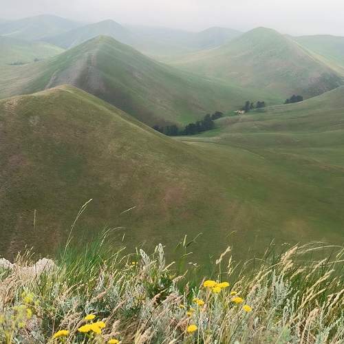 Photo #11101741