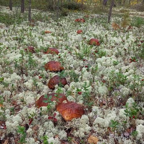 Photo #11102300