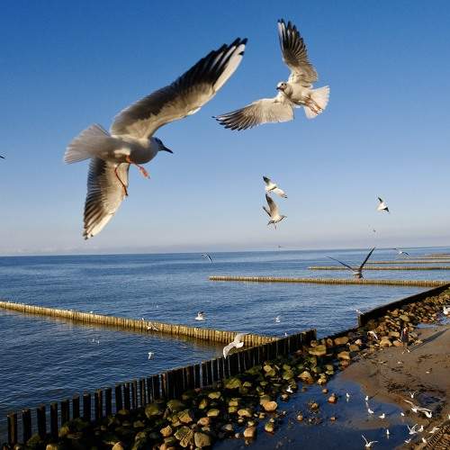 Photo #11102367