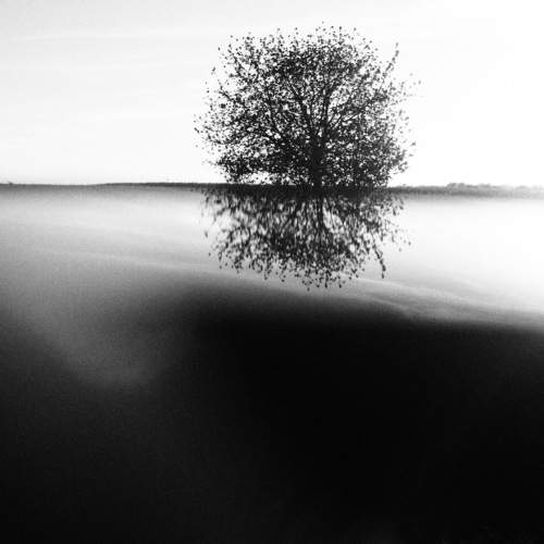 Photo #11102758