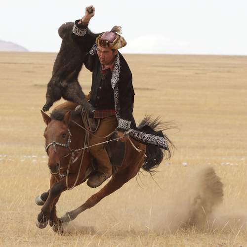 Photo #11102785