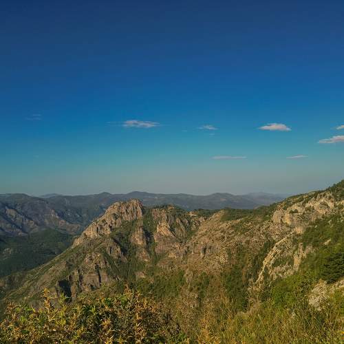 Photo #11103501