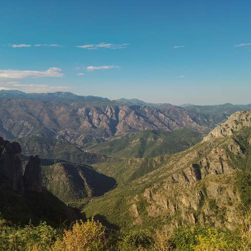 Photo #11103502