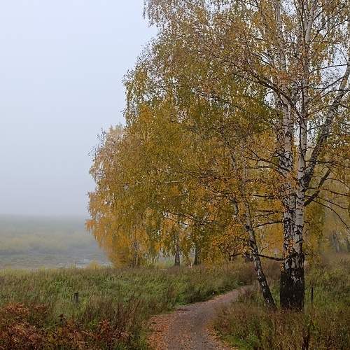 Photo #11103519