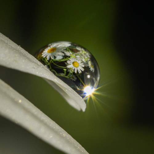 Photo #11103809