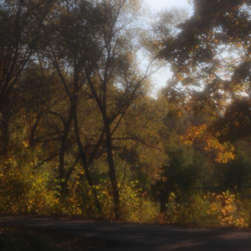 Photo #11103961