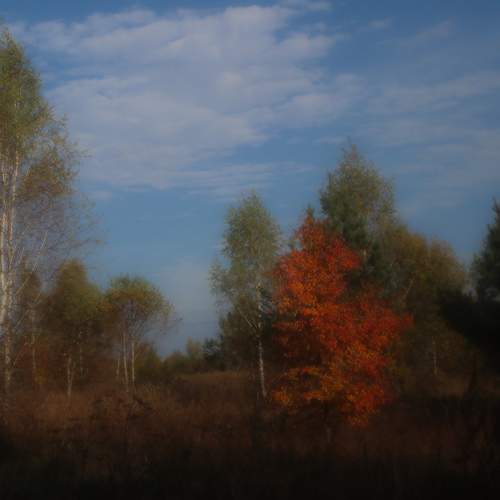 Photo #11103962