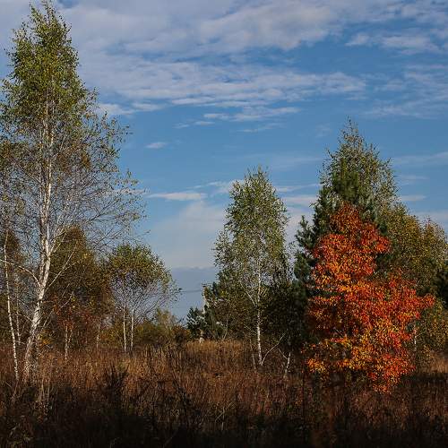 Photo #11104068