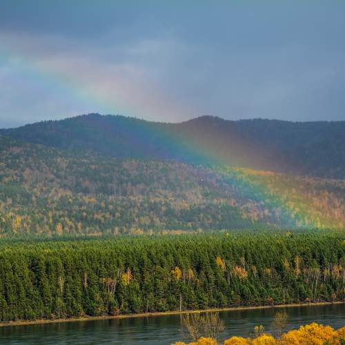 Photo #11104401