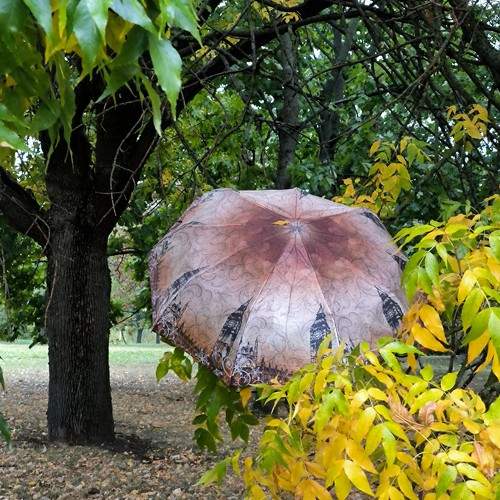 Photo #11104648