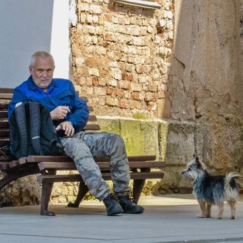 Photo #11104861