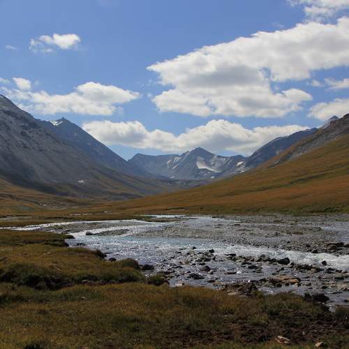 Photo #11104892