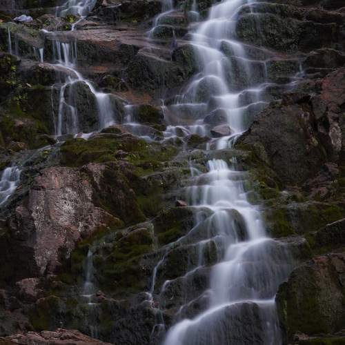 Photo #11105022