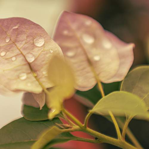 Photo #11105285