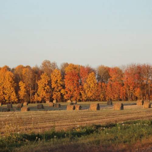 Photo #11105467