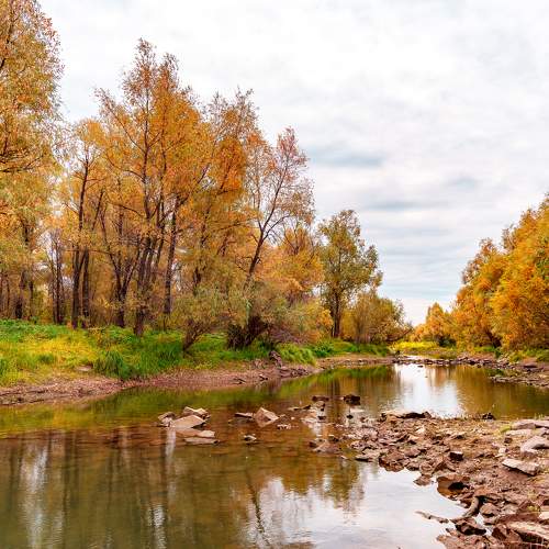 Photo #11105527
