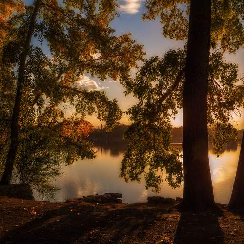 Photo #11105948